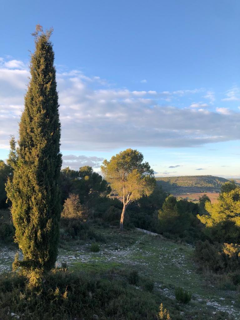 La Cartagene - Chambre Double Calvisson Bagian luar foto